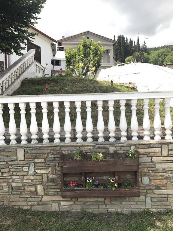 Villa Paradisos Likostomon Exteriör bild